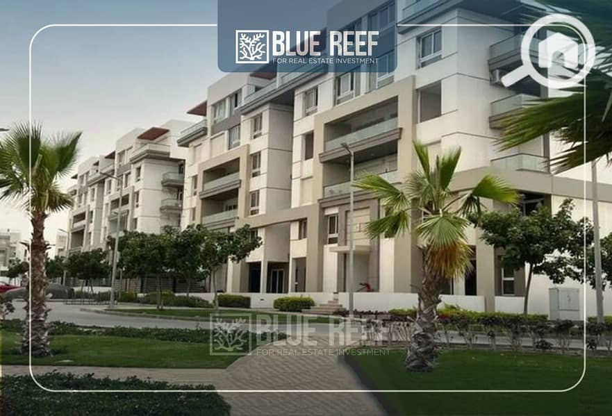 WhatsApp Image 2025-11-06 at 3.14. 01 PM (1). jpeg WhatsApp Image 2025-11-06 at 3.14. 01 PM (1). jpeg