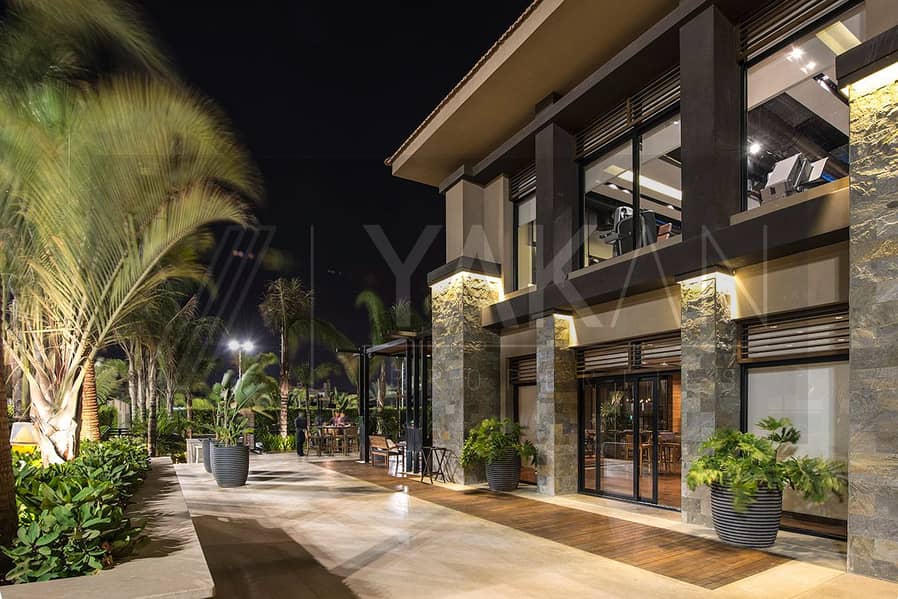 6 1551798919-DSC_2558. jpg