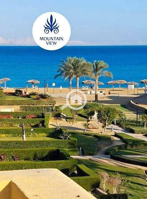 3 70d16b03-dc0c-4306-b150-fea5998b601e. jpeg