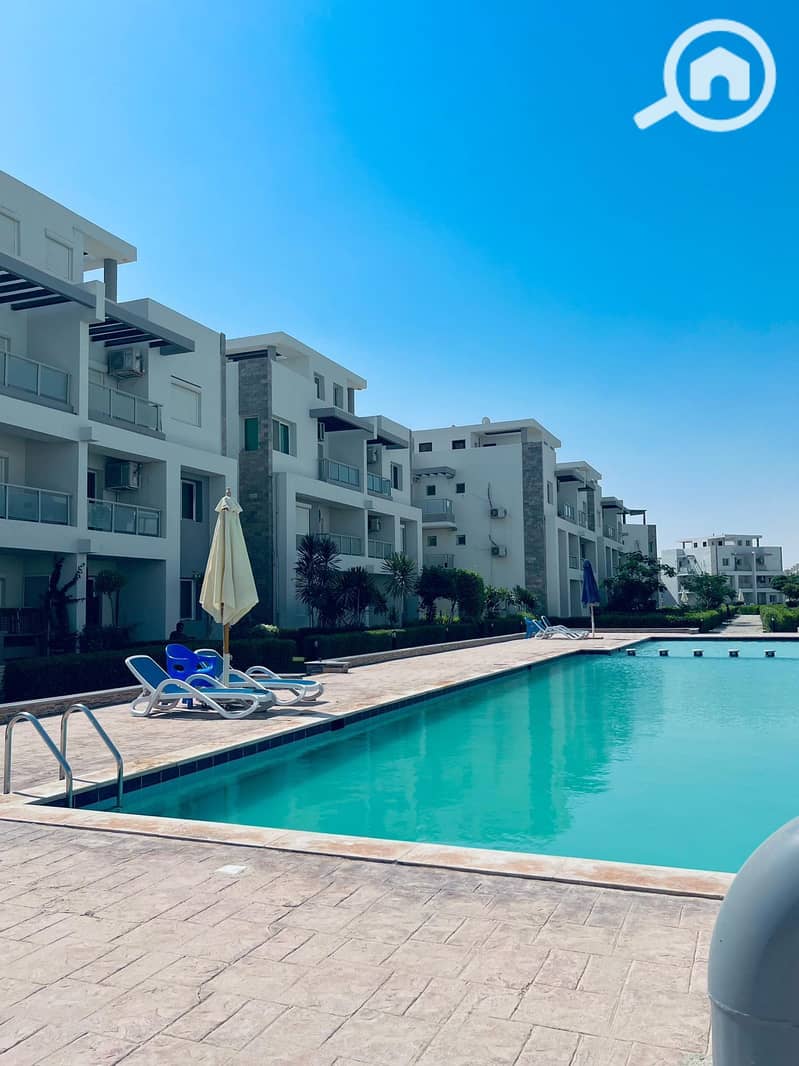 3 b2af34cd-2c8d-4c7d-80a5-c9fcd70a8f1a. jpg