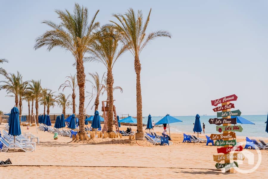 5 6176bf2d-70d5-401a-99ad-b59961e2de32. jpg