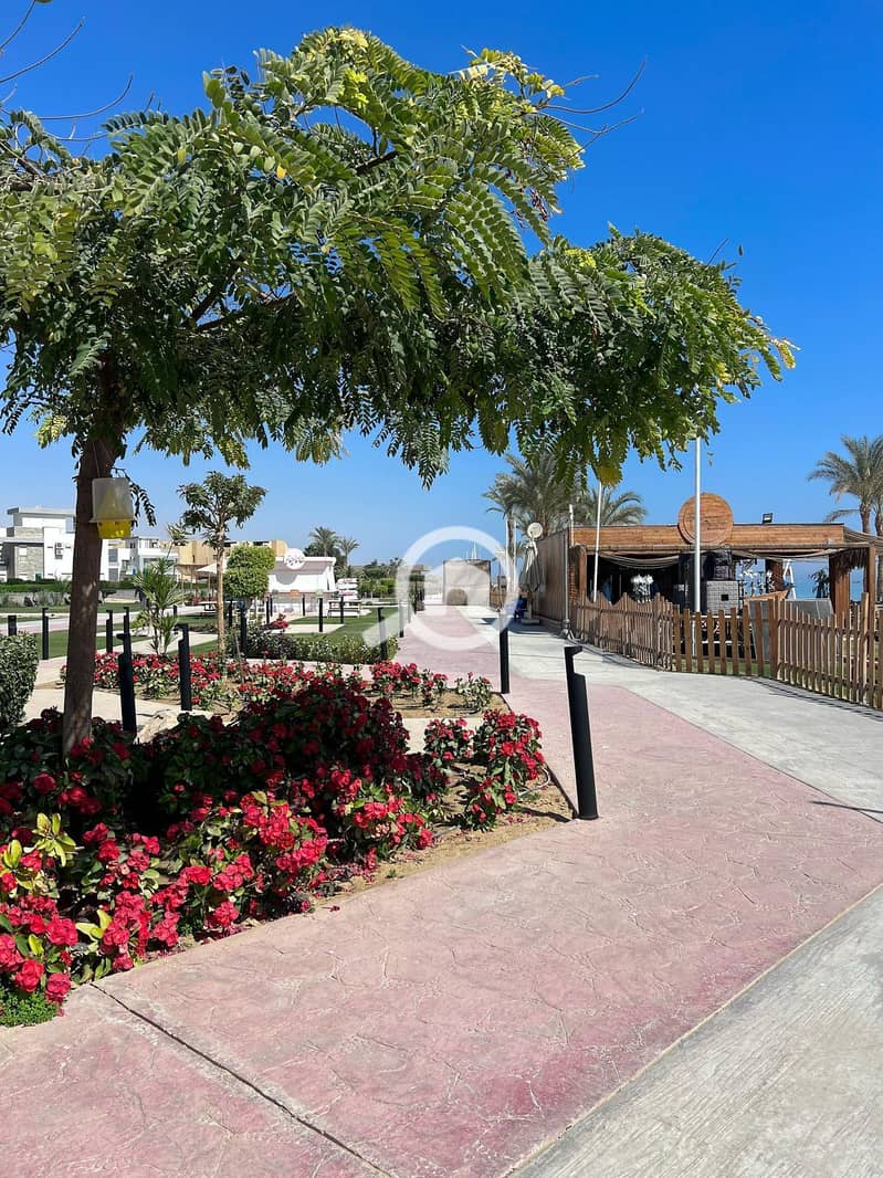 6 1150402f-3628-45cc-9f76-9880ff6537df. jpg