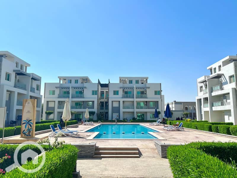 9 ce217aa5-0dfe-4995-8589-fdc53c697611. jpg