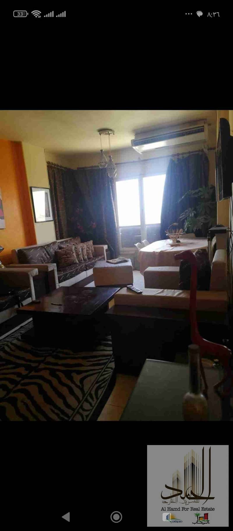 1000138134. jpg 1000138134. jpg