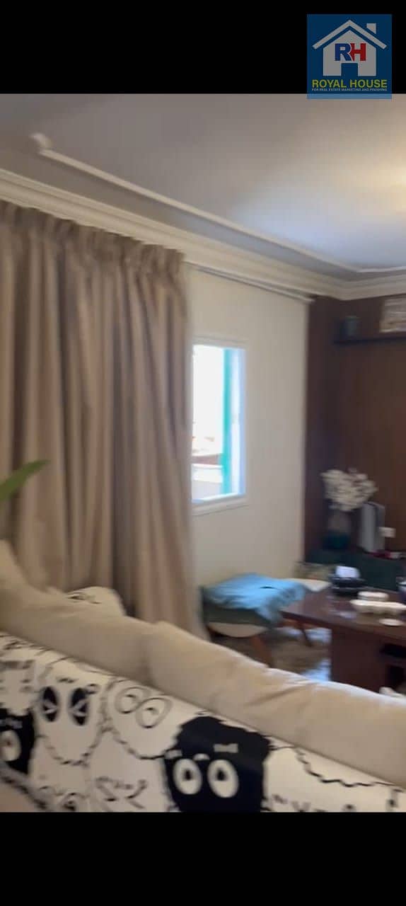 12 WhatsApp Image 2025-09-20 at 10.39. 19 AM (3). jpeg