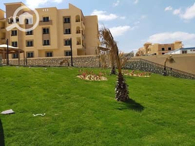 2 Bedroom Apartment for Sale in Sheikh Zayed, Giza - 120917155_407604367307359_9199448766299861558_n. jpg 2 Bedroom Apartment for Sale in Sheikh Zayed, Giza - 120917155_407604367307359_9199448766299861558_n. jpg
