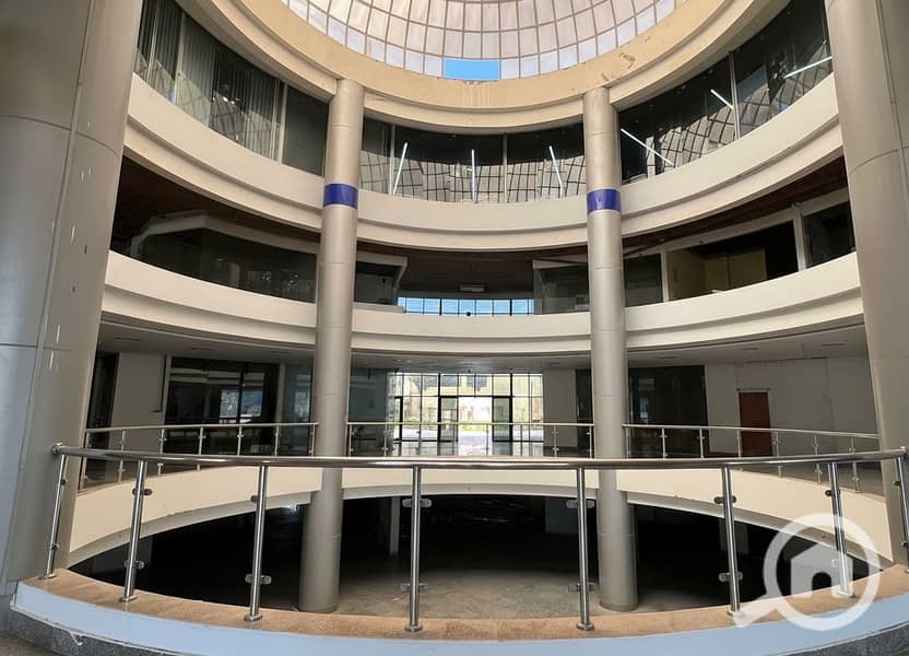 8 Generated Image September 23, 2025 - 2_06PM. png