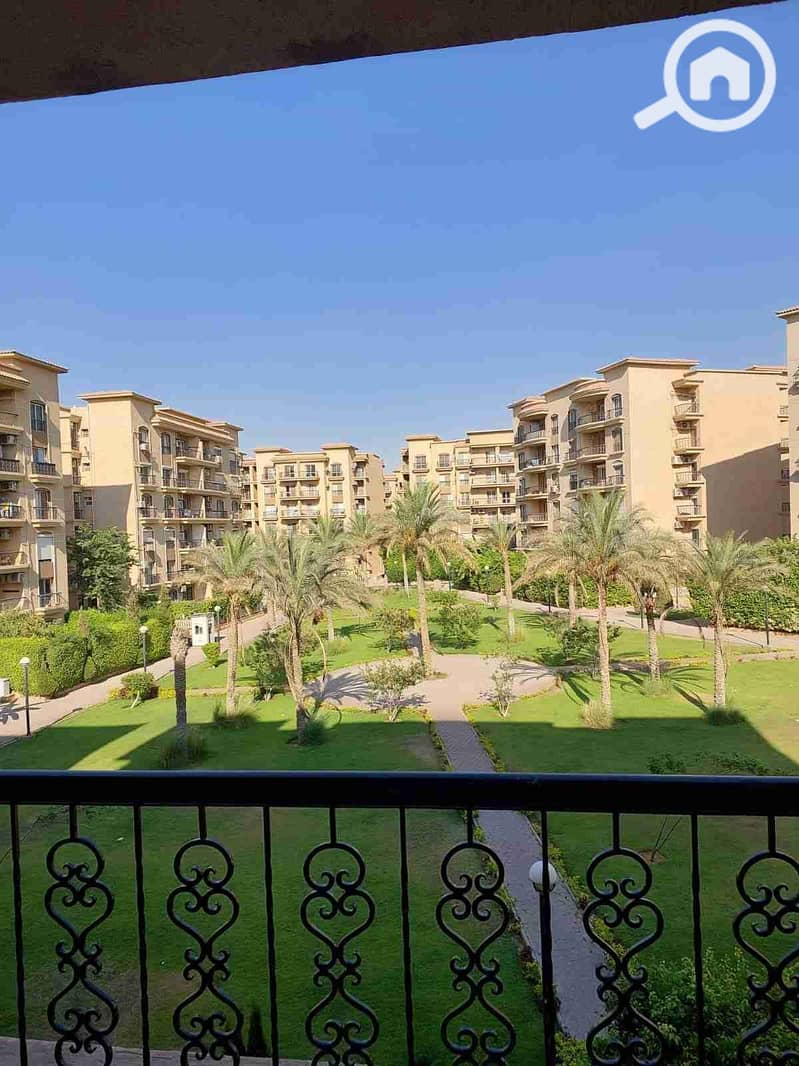 1000675336. jpg 1000675336. jpg