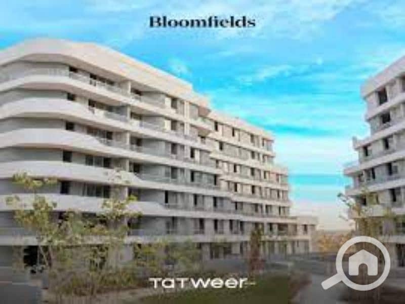 10 images. jfif. jpg