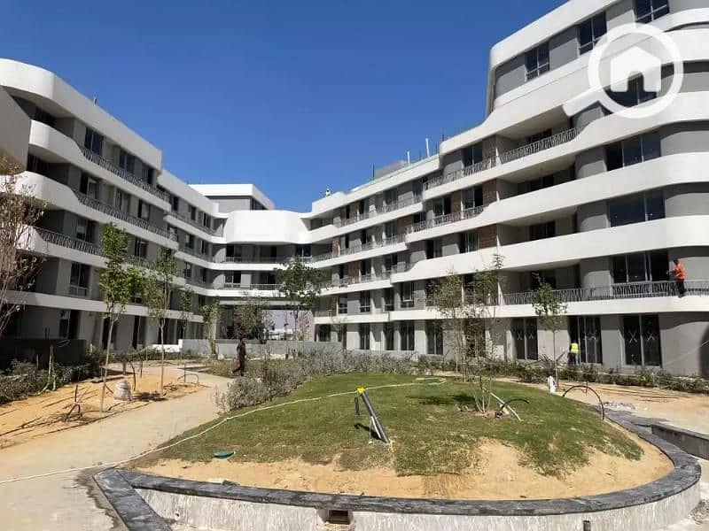 11 بلومفيلدز-1699184133. jpg