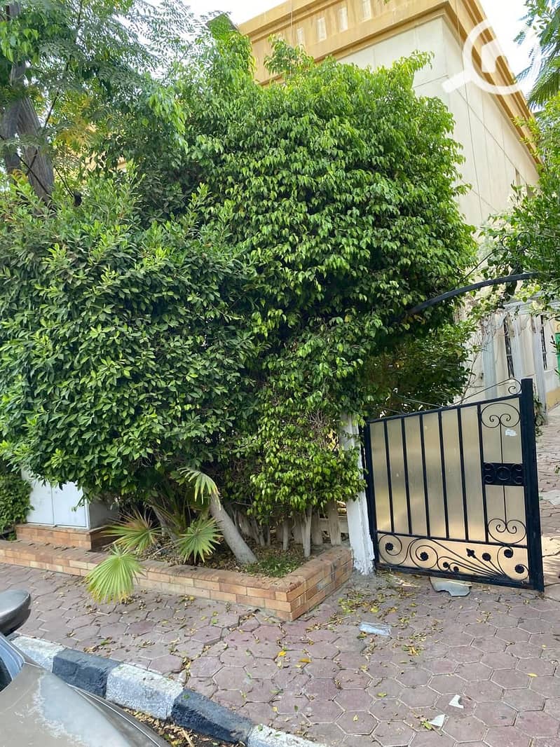 5 WhatsApp Image 2025-10-03 at 4.06. 58 PM (4). jpeg