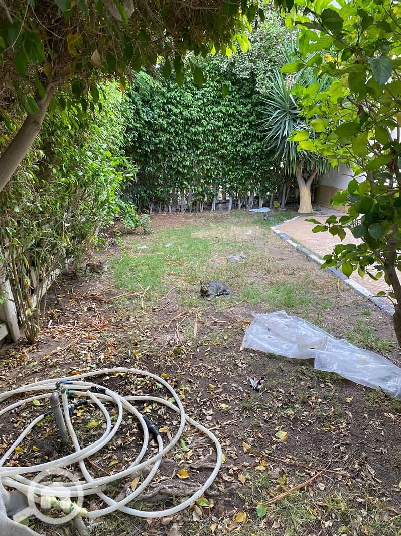 7 WhatsApp Image 2025-10-03 at 4.06. 58 PM (6). jpeg