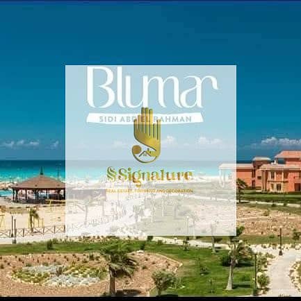 7 be3b057c-6dca-4ddd-b1a4-5f86d3c1a76d. jpg