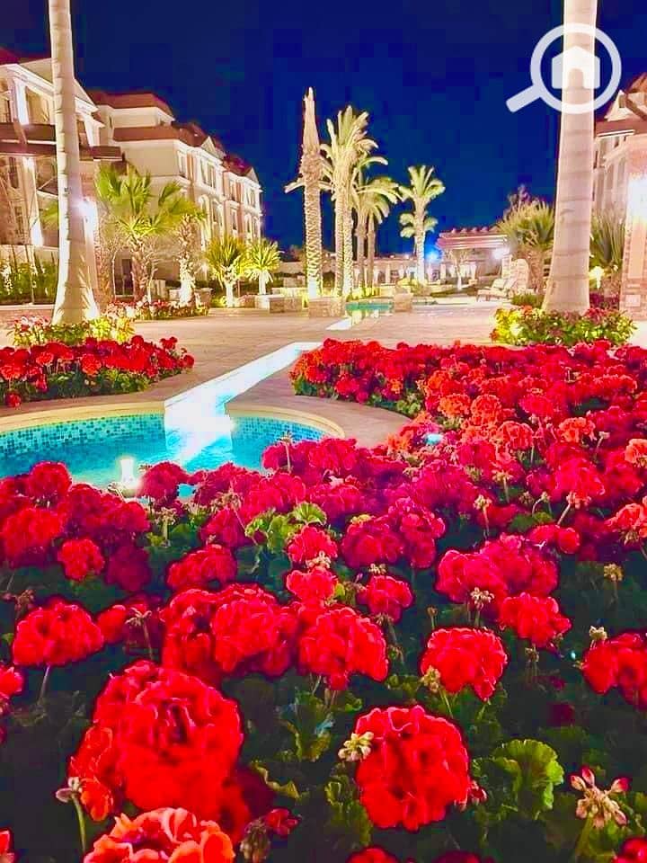 6 IMG-20251106-WA0055. jpg