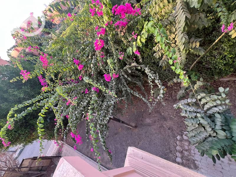 21 WhatsApp Image 2025-10-23 at 6.46. 34 PM (1). jpeg