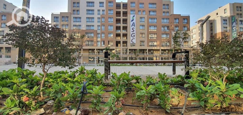 2 WhatsApp Image 2022-06-29 at 4.33. 07 PM. jpeg