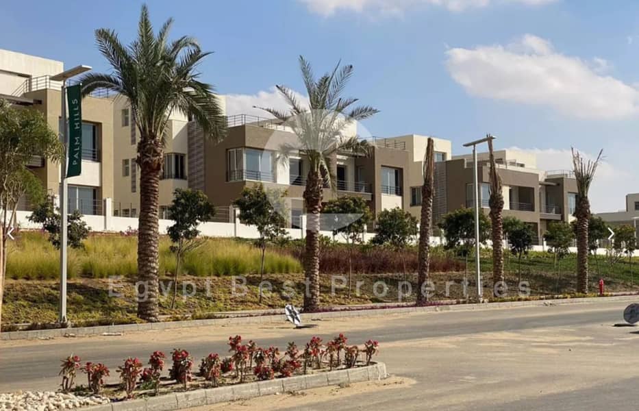3 palm hills new cairo. png