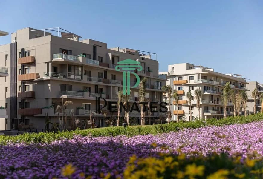 4 8178730-ace78o. jpg