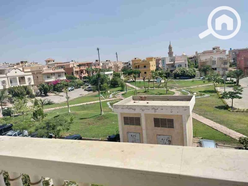 1000341559. jpg 1000341559. jpg