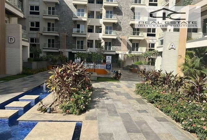 2 3844321-4f448o. jpg