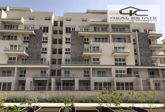 3 3844321-5ae92o. jpg