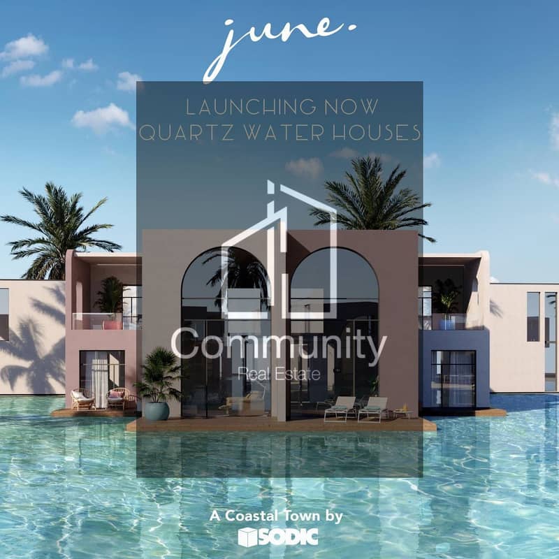 24 475e878d-1126-4d1b-92d4-6b44df252b51. jpeg