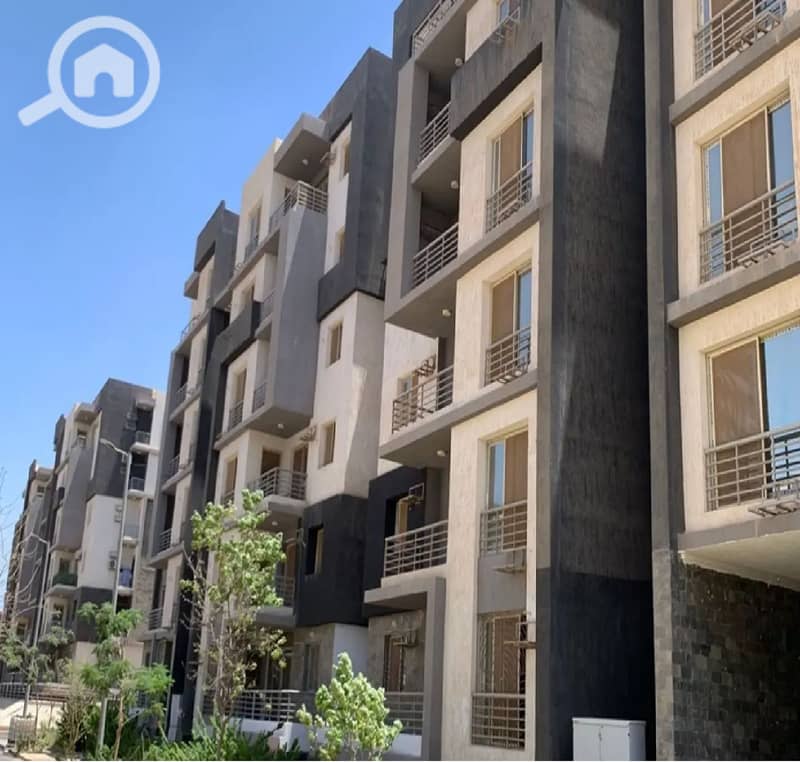 Untitled. png Untitled. png