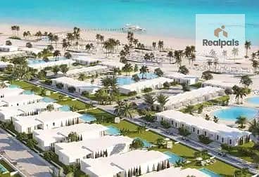 4 WhatsApp Image 2025-11-06 at 5.03. 32 PM (4). jpeg