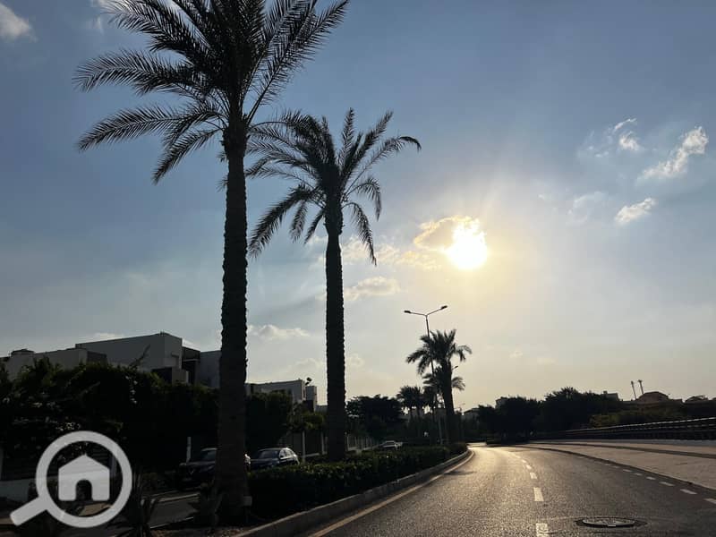 9 a664fc5e-6b74-46be-9d36-24904a9c54a3. jpg