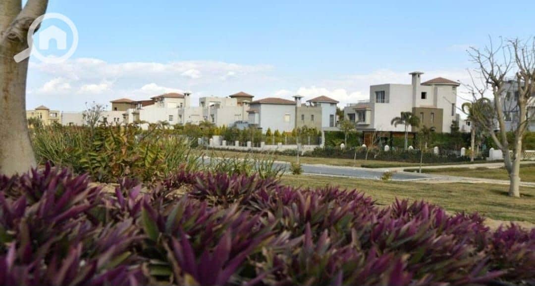 10 WhatsApp Image 2024-07-23 at 12.03. 42 PM. jpeg