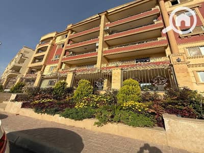 3 Bedroom Apartment for Sale in New Cairo, Cairo - WhatsApp Image 2025-11-05 at 5.18. 20 AM (3). jpg