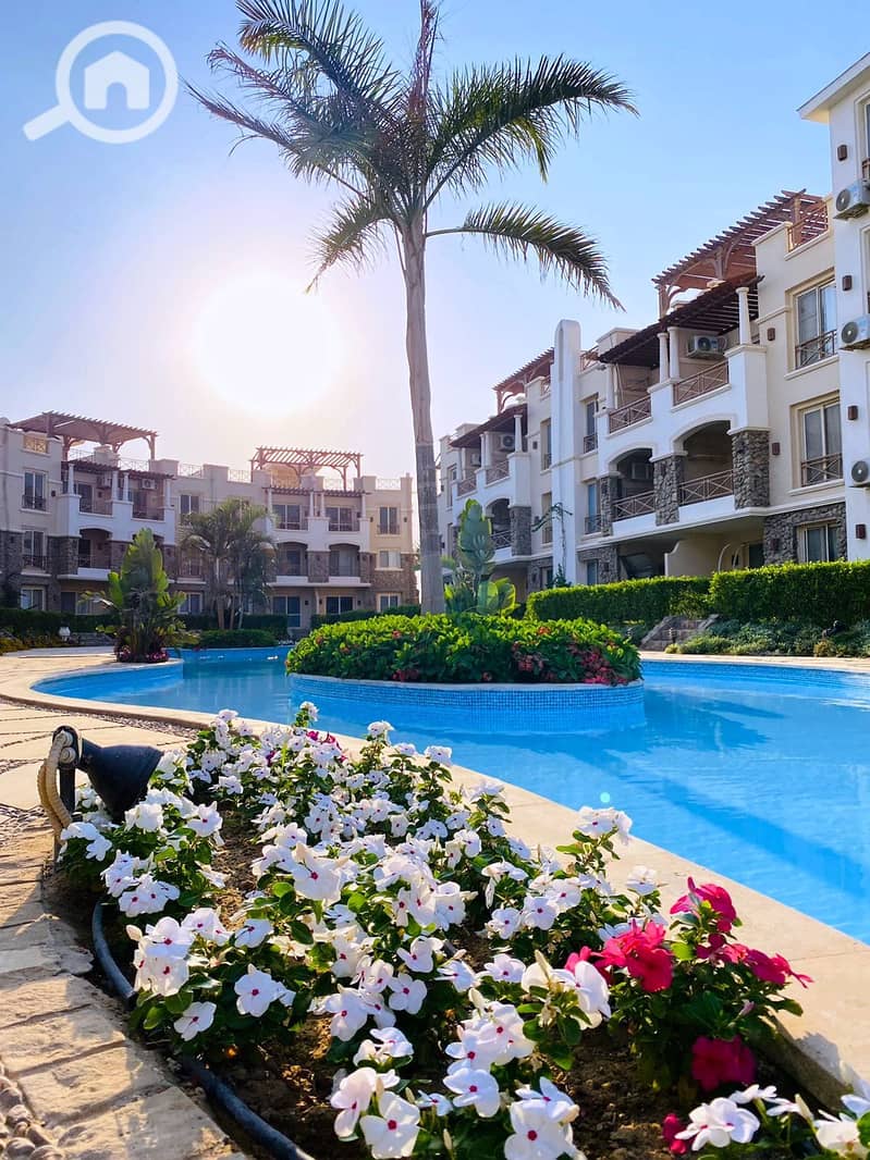 8 بلوبلو9. jpg