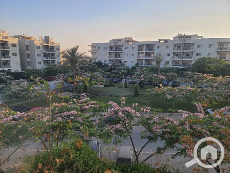 8 WhatsApp Image 2025-11-06 at 4.13. 15 PM. jpeg