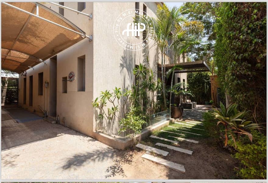 4 7820afac-d518-4e1e-a575-5a37e73a4c08. jpg