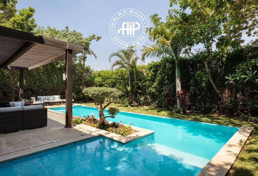 6 a65566e4-8af4-4a25-bea0-46da697a4cde. jpg