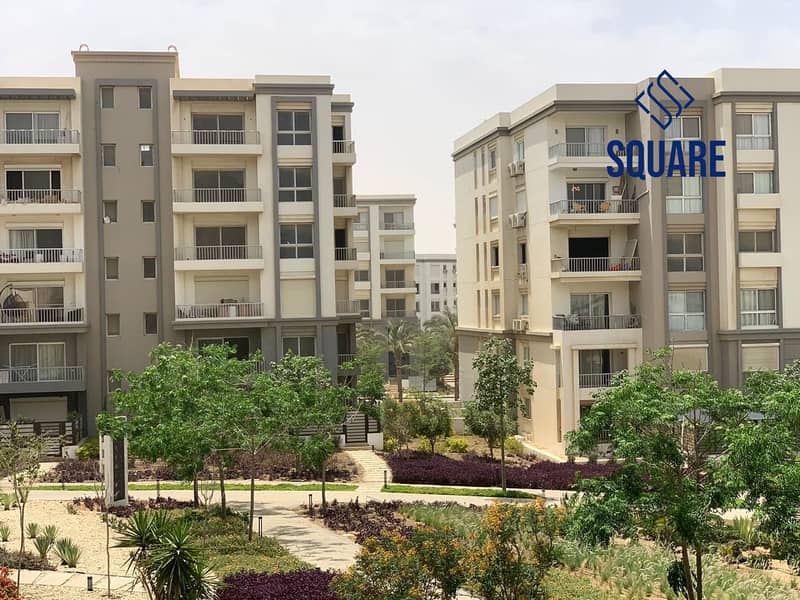 IMG-20250615-WA0053. jpg IMG-20250615-WA0053. jpg