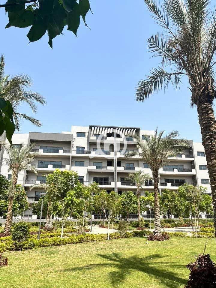 10 531415990_1261316692403044_1081057285090795648_n - Copy. jpg