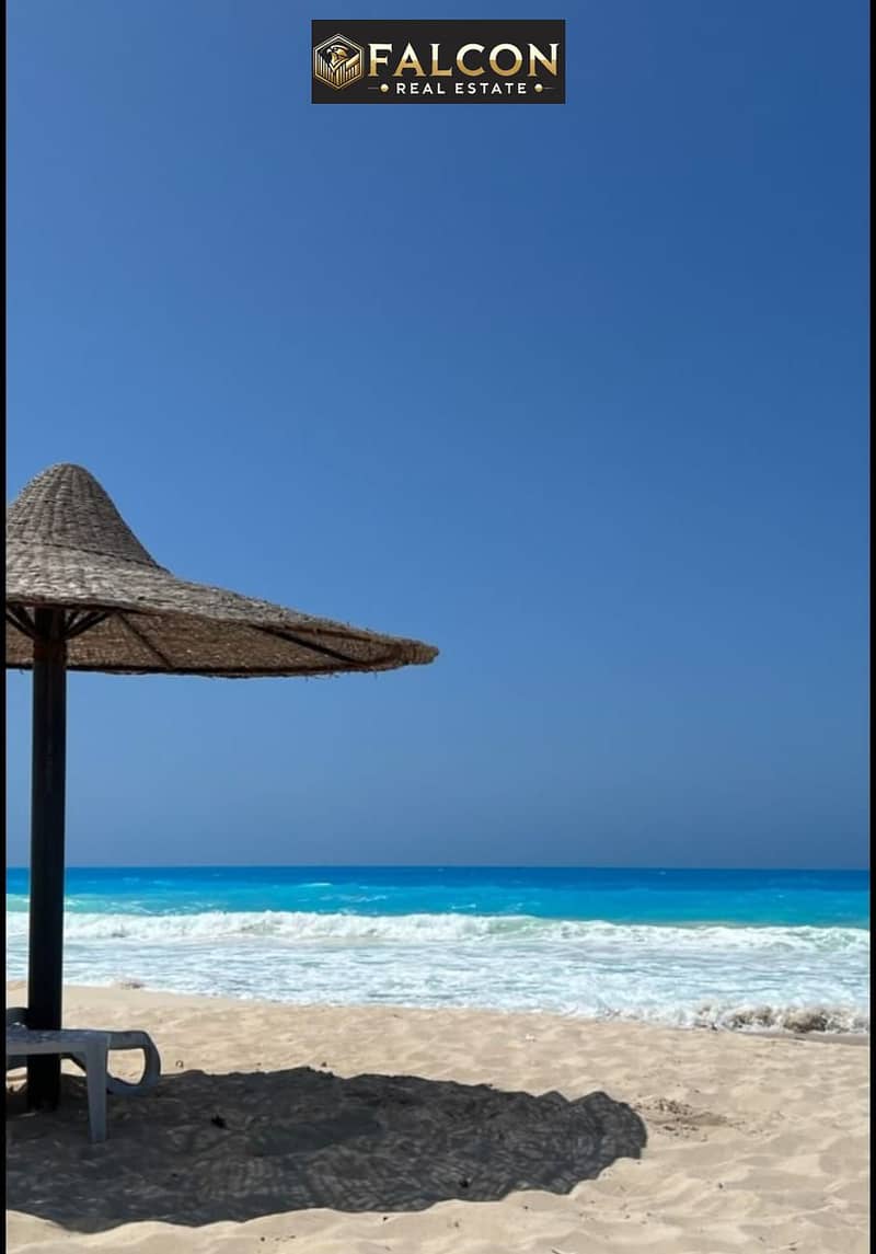 7 8f51f62a-08a8-4278-af63-0ad6dae79d90. jpg