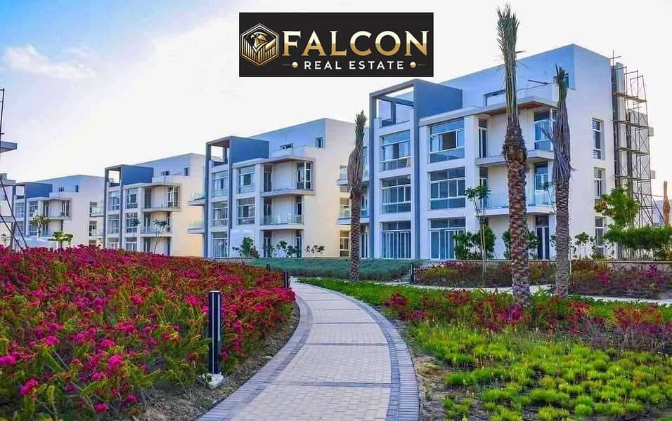 11 c584a016-eceb-4b3c-96a8-7e9bfba7cc19. jpg