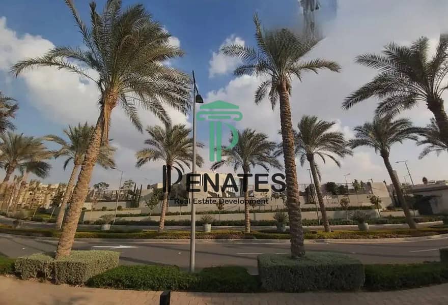 7 8176261-26adco_11-06-2025. jpg