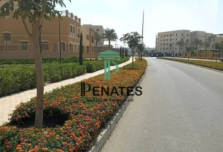 11 8176261-2dfd7o_11-06-2025. jpg