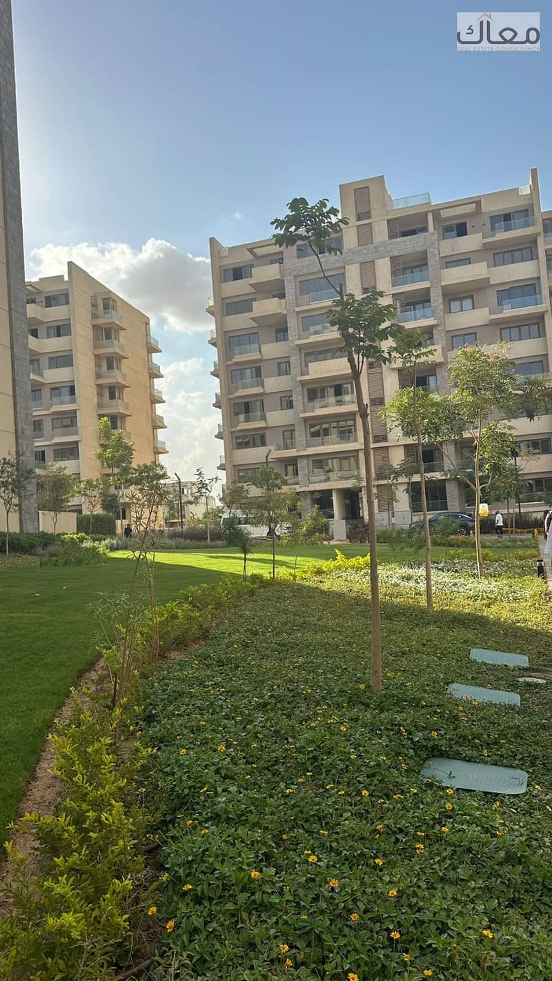 9 cd1de9c1-c9bf-4540-a37b-bf537b55a1f3. jpg