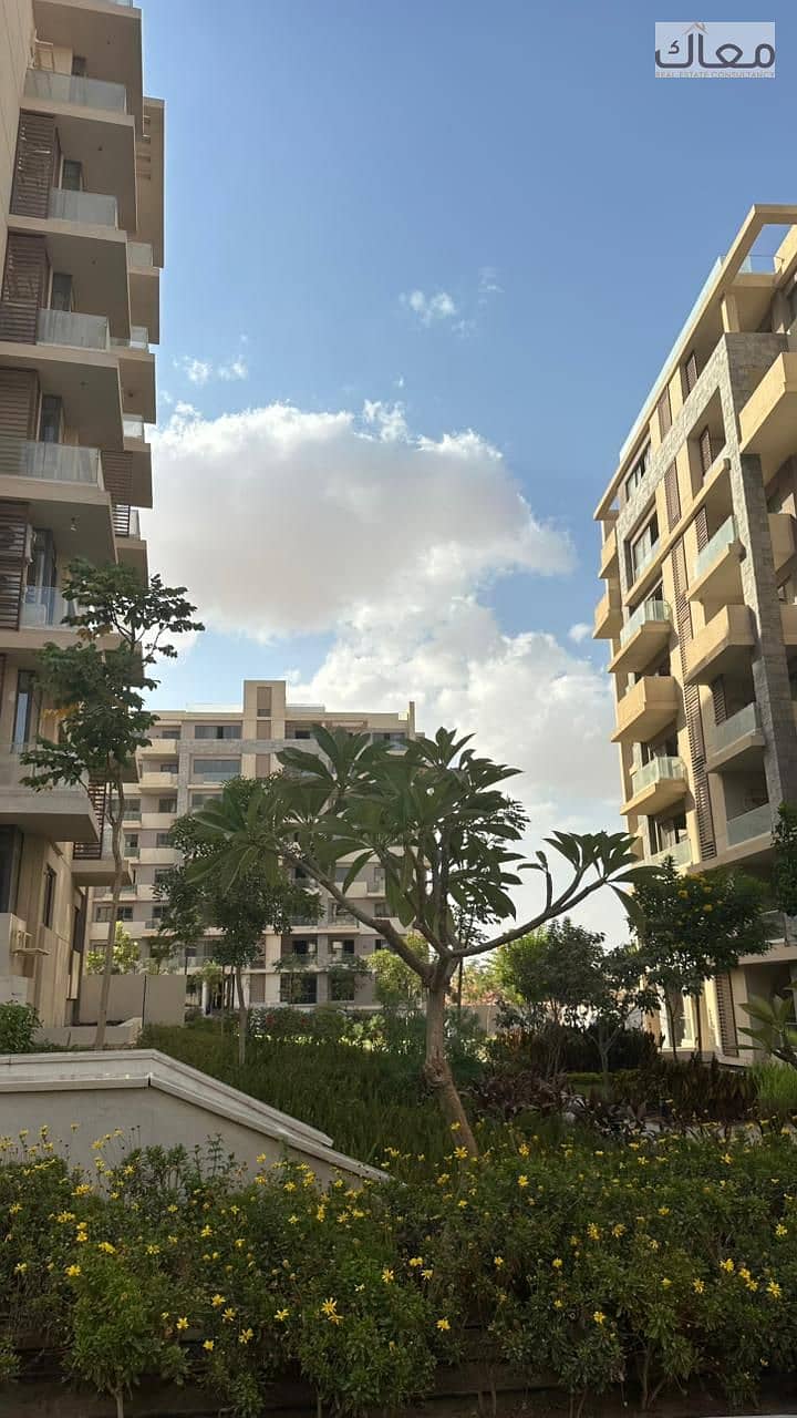 10 2a2e6c15-9de5-4562-b610-8c78b958e689. jpg