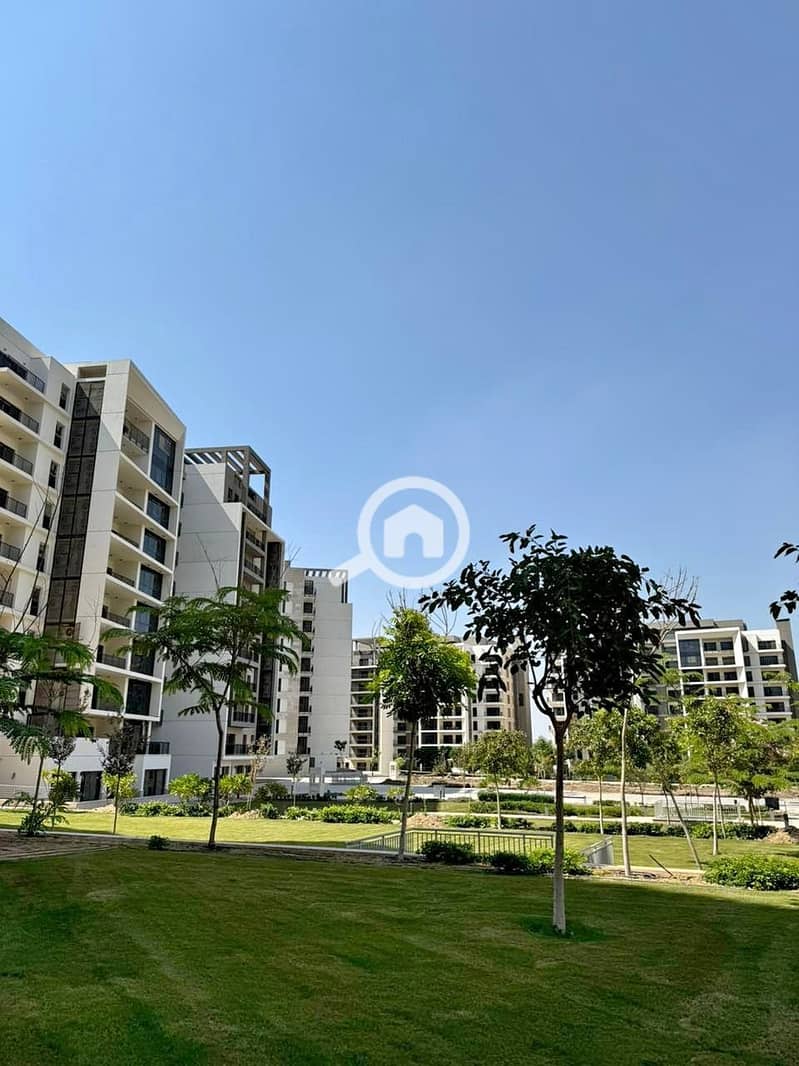 11 571196878_2698395273836986_718721083243044715_n. jpg