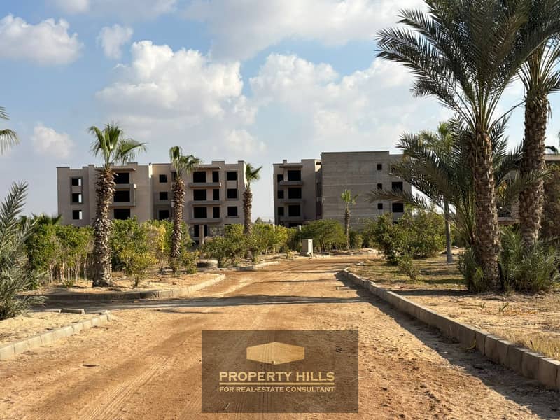 10 d3929b67-d8ed-4db4-8494-9e8749816814. jpg