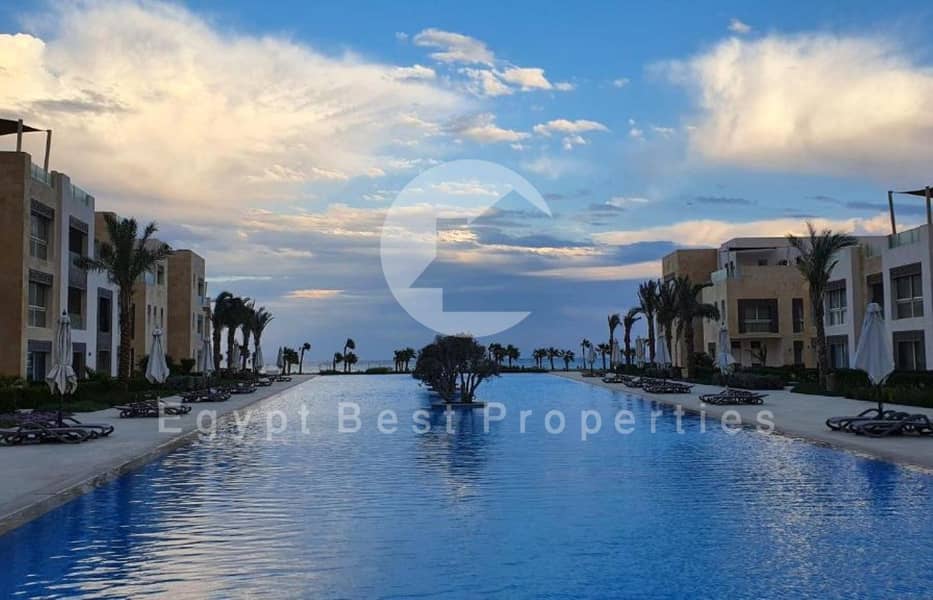 3 493444127 (Custom). jpg