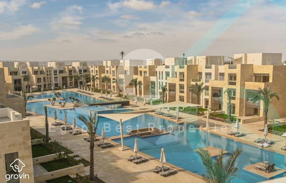 6 Mangroovy_1 (Custom). jpg