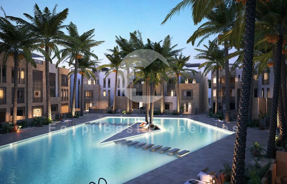 9 Mangroovy_4 (Custom). jpg