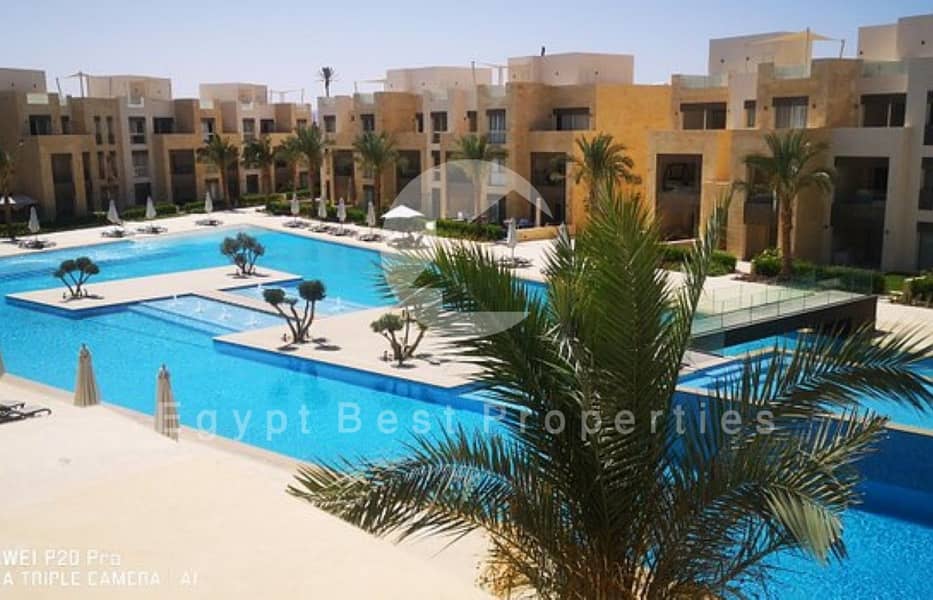 11 Mangroovy_6 (Custom). jpg