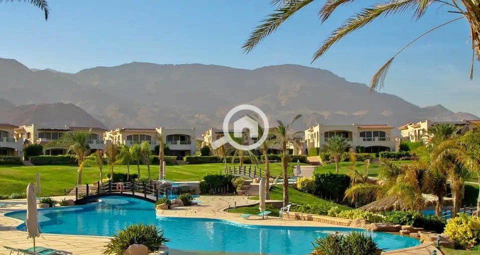 4 385070916_6447592945339069_2126501835468249567_n. jpg